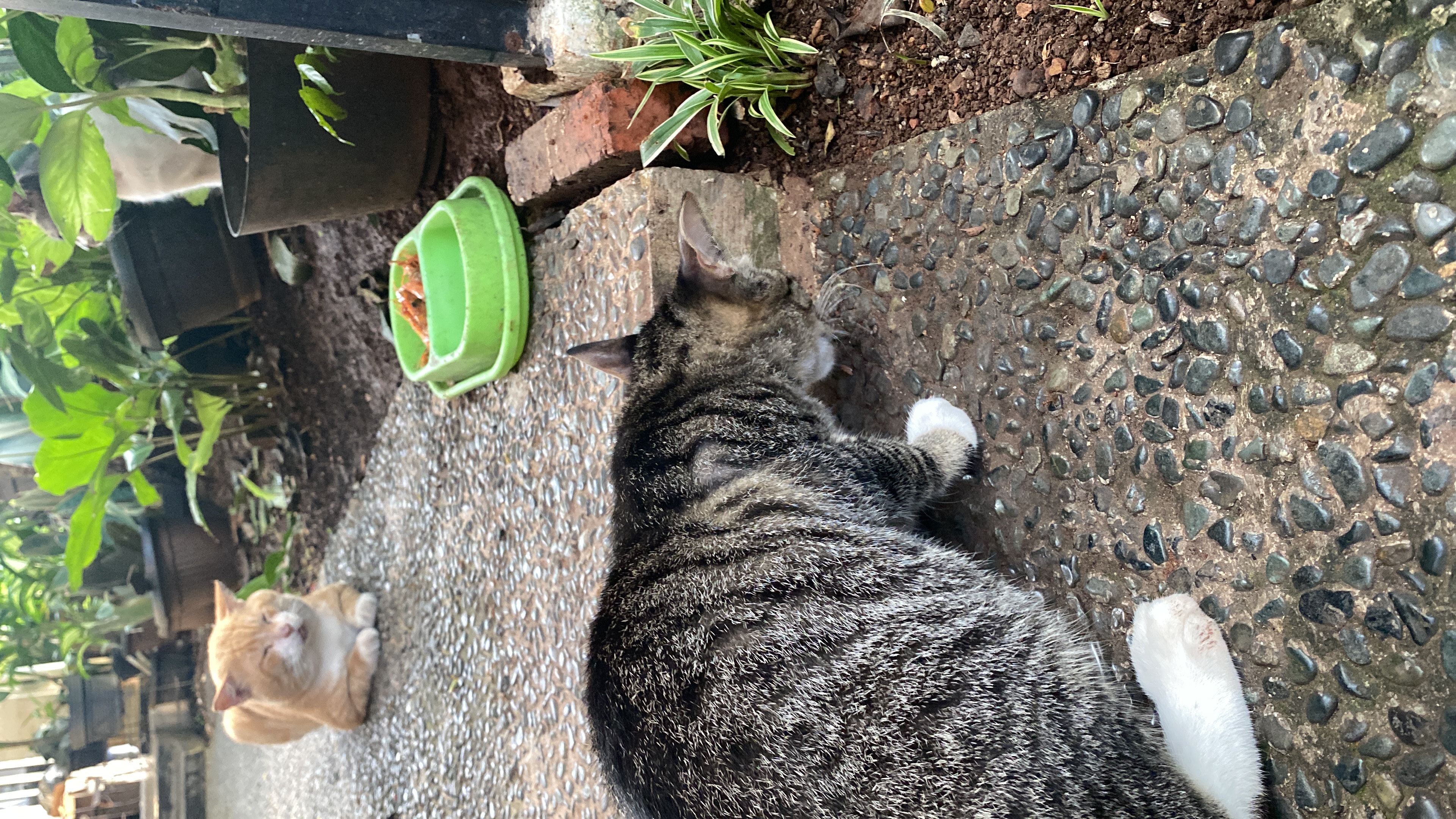 Outbound di puncak tema